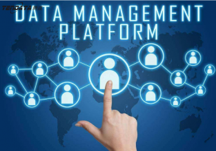 海关数据的使用价值