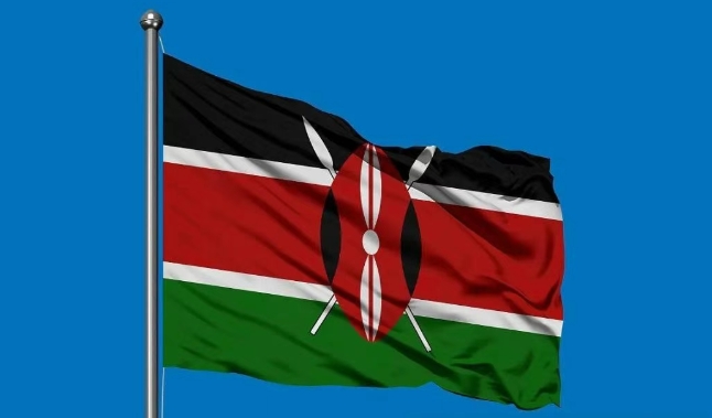 肯尼亚海关数据查询平台（附免费试用查询名额）