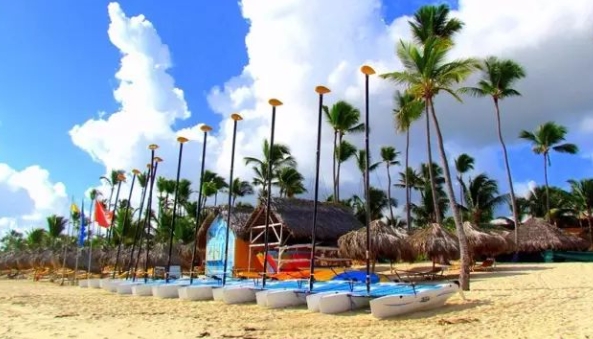 多米尼加海关数据查询平台（附免费试用查询名额）